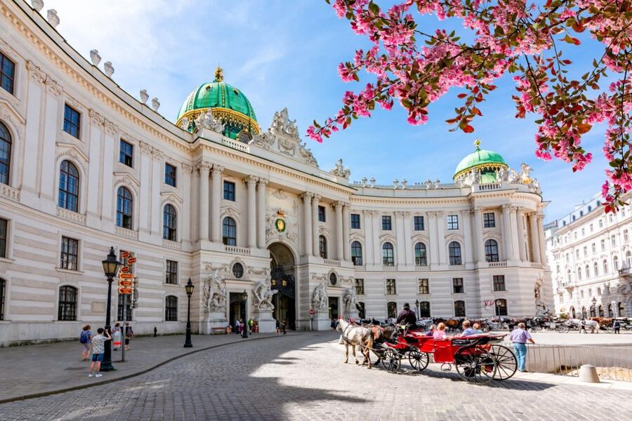 Skip-the-line Private Tour Kunsthistorisches Museum Vienna - The five-hour version: the same treasures with a car
