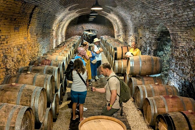 Small-group Vienna Wine Tour - Walking through the vineyards