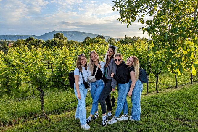Small-group Vienna Wine Tour - Is $137.75 a fair price?