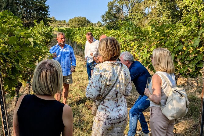 Small-group Vienna Wine Tour - A traditional Heuriger and an intimate tasting