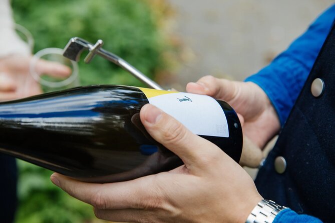 Taste and Tour Small Organic Wineries with a Winemaker - Mantlerhof: family winemaking near the Kamp River