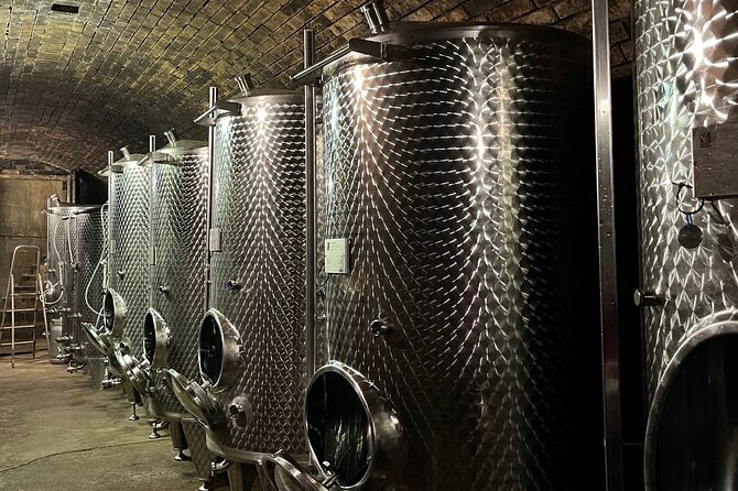 Taste and Tour Small Organic Wineries with a Winemaker - WeinSchach in Langenlois: handmade sparkling wine