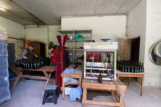 Taste and Tour Small Organic Wineries with a Winemaker - Kapitel Zwei at Kremsleithen: a young vineyard with old roots
