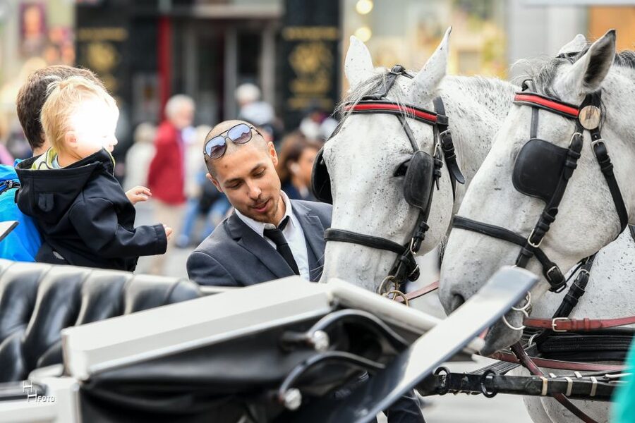 Vienna: 30-Minute Fiaker Ride in the Old Town - Parliament and the Greek-style Pallas Athene