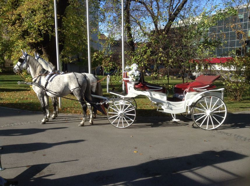 Vienna: 30-Minute Fiaker Ride in the Old Town - Is $111 good value for up to four people?