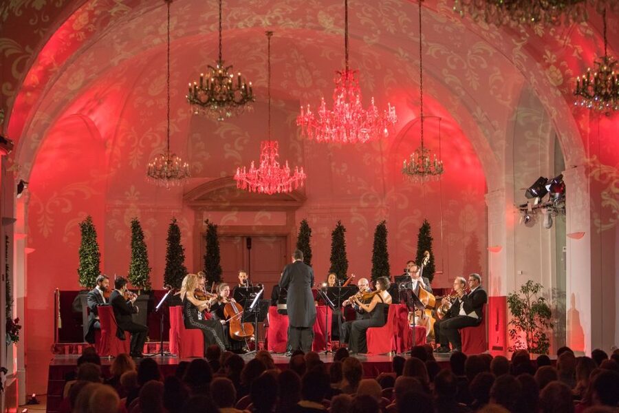 Vienna: After-Hours Schönbrunn Palace Entry & Concert Ticket - Who will enjoy this evening most