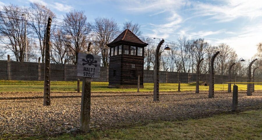 Vienna: Auschwitz Birkenau Full-Day Tour w/ Hotel Transfers - Why this visit matters