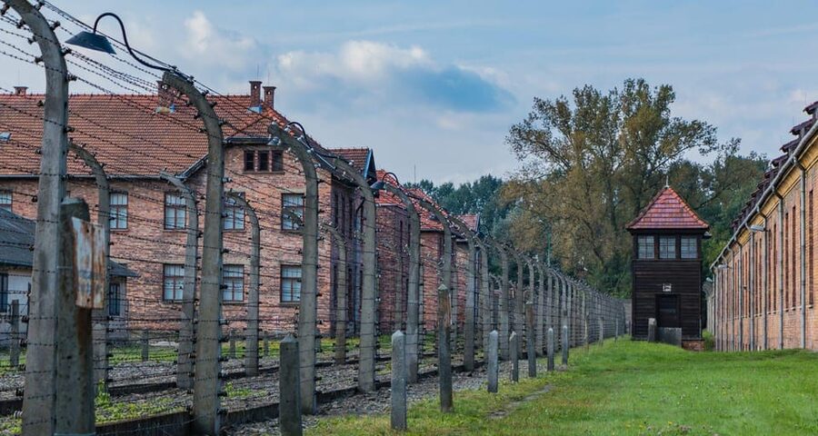 Vienna: Auschwitz Birkenau Full-Day Tour w/ Hotel Transfers - Birkenau and the scale of the camp system