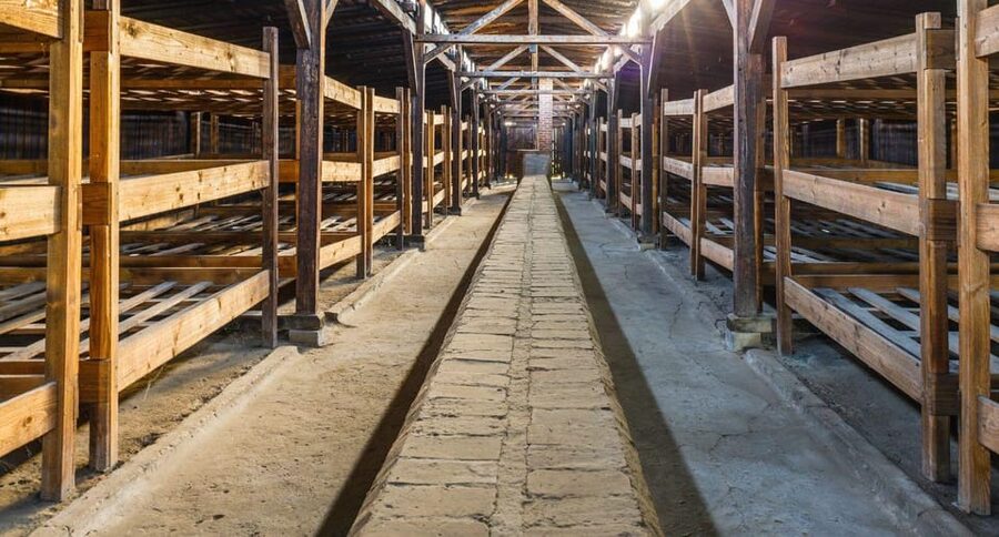 Vienna: Auschwitz Birkenau Full-Day Tour w/ Hotel Transfers - The hour after the guided visit