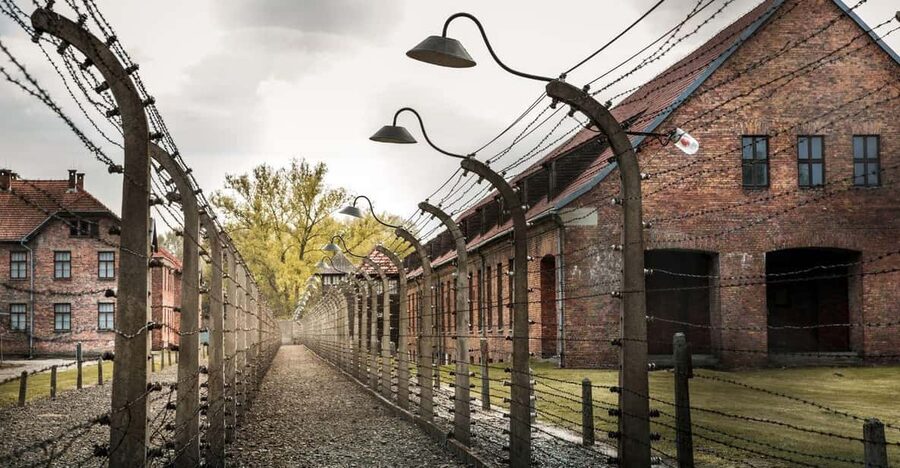 Vienna: Auschwitz Birkenau Full-Day Tour w/ Hotel Transfers - What the $666 price really buys
