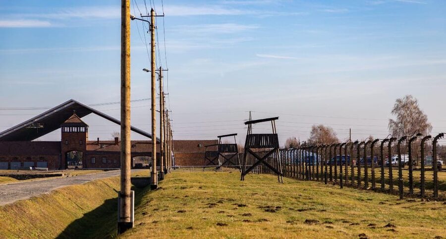 Vienna: Auschwitz Birkenau Full-Day Tour w/ Hotel Transfers - What the strongest praise tells you