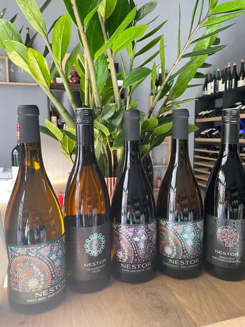 Vienna: Austrian Wine Tasting - Who should book this experience?