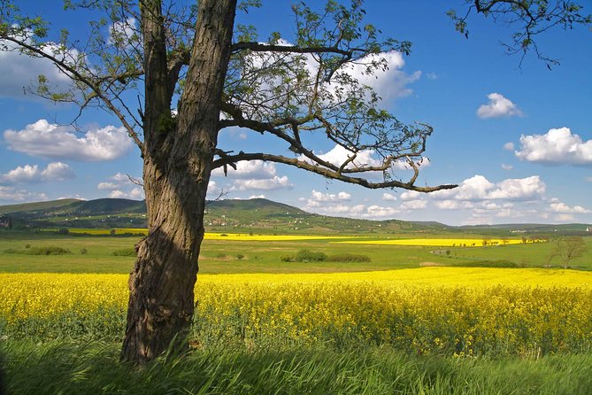 Vienna-Budapest One-Way Sightseeing Transfer - Why this Vienna to Budapest transfer makes sense