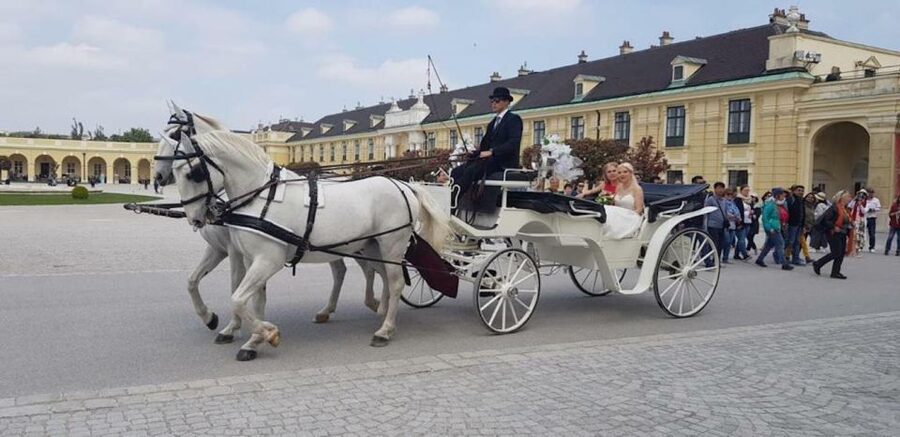 Vienna: Carriage Ride Through Schönbrunn Palace Gardens - Key points to know before you book