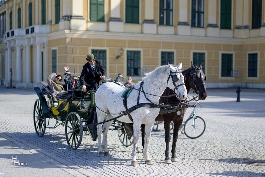 Vienna: Carriage Ride Through Schönbrunn Palace Gardens - What the 30-minute route shows you