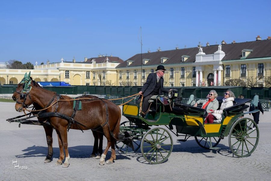 Vienna: Carriage Ride Through Schönbrunn Palace Gardens - Palm House, Orangerie, and imperial garden buildings