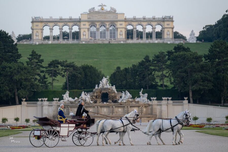 Vienna: Carriage Ride Through Schönbrunn Palace Gardens - Who will enjoy this carriage ride most?