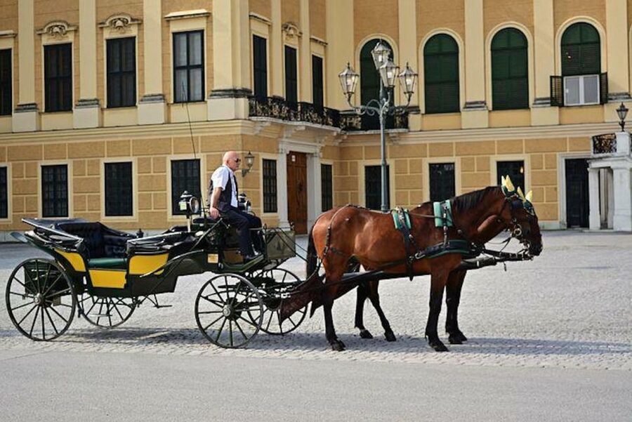Vienna: Carriage Ride Through Schönbrunn Palace Gardens - Meeting the Fiaker in front of the palace