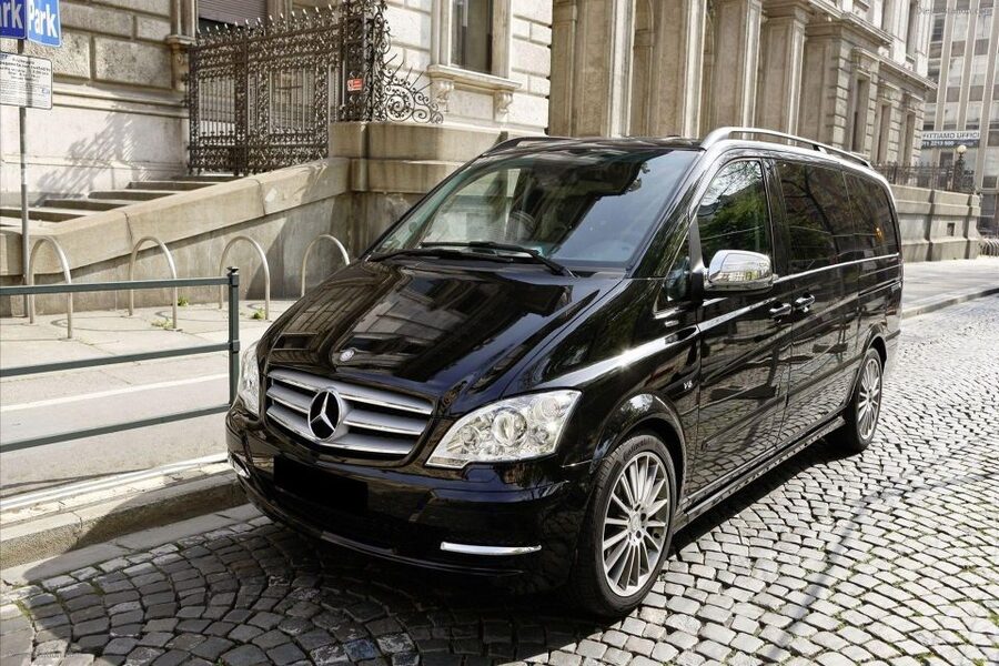Vienna Central Cemetery Walking Tour with Transfers - Who should book this cemetery tour?