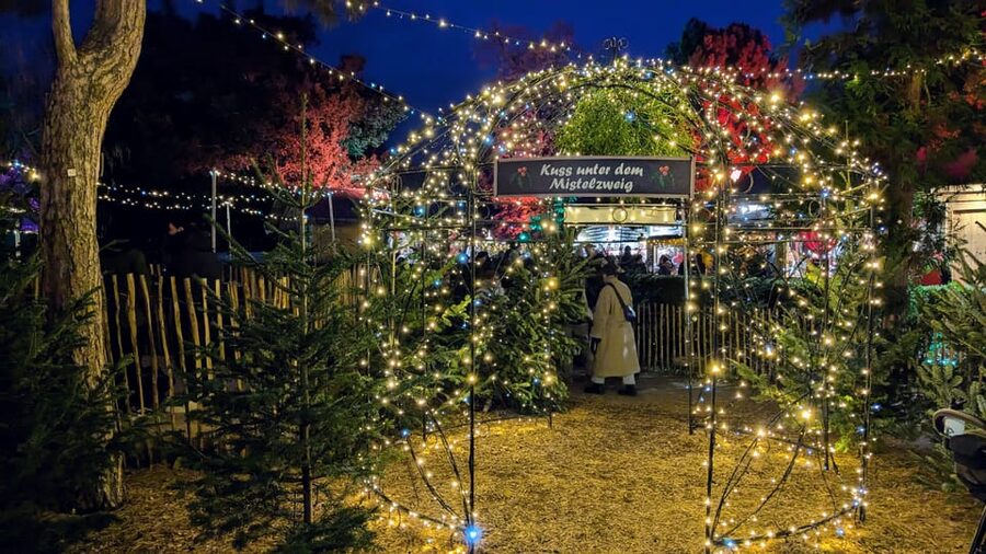 Vienna: Christmas Market Food and Drinks Tour - Weather, walking, and comfort