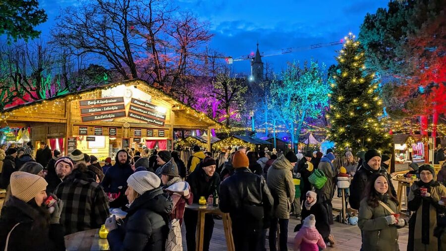 Vienna: Christmas Market Food and Drinks Tour - Who should book this Christmas market tour?