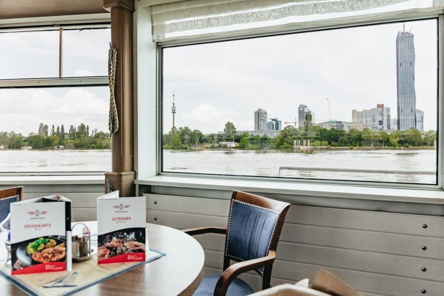 Vienna: City Cruise with Optional Lunch - Who should book this cruise?