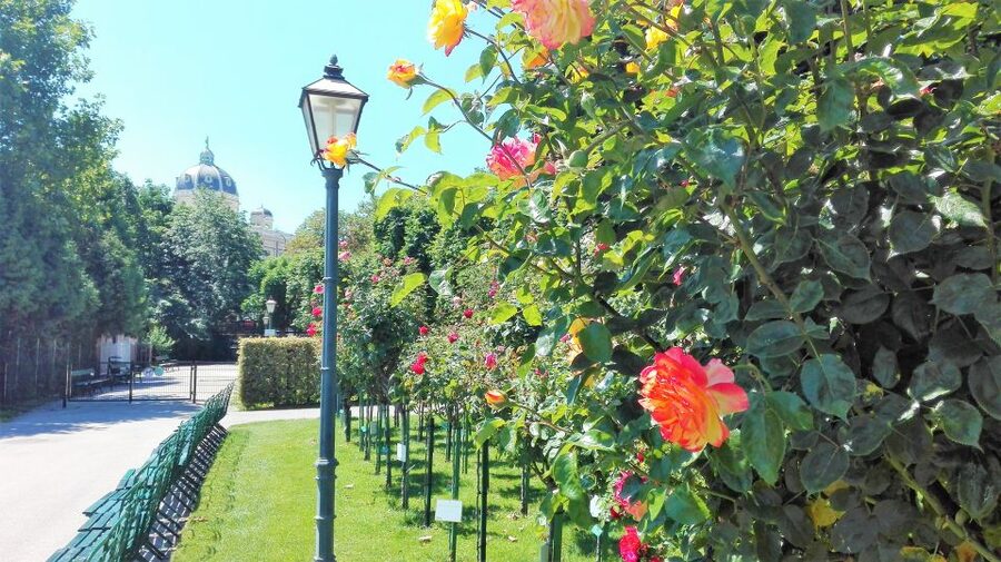 Vienna: City Highlights Guided Walking Tour & Old Town - Roman traces and medieval streets