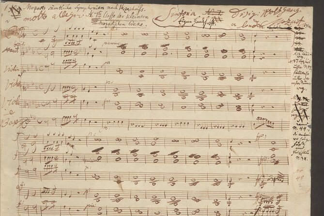 Vienna: City of Music Private Walking Tour - Forty-five minutes of music in the Inner City