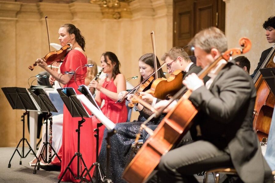 Vienna: Classical Concert at Eschenbach Palace - Who should book this concert?