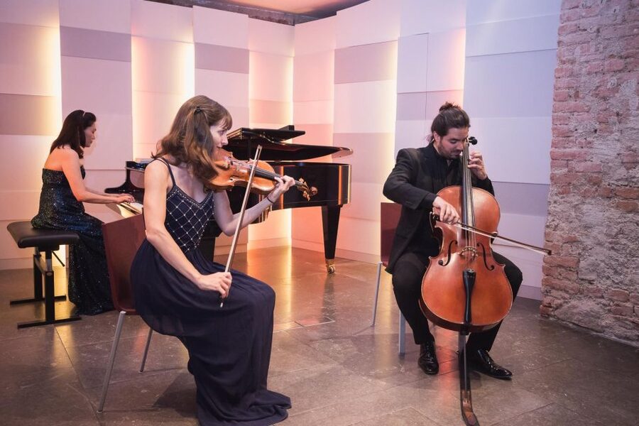 Vienna: Classical Concert at Mozarthaus with Museum Entry - Who will enjoy this experience most?