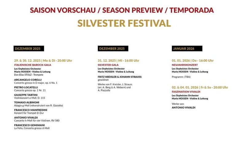 Vienna: Classical Concerts in the Minorite Church Ticket - Chamber music, orchestra, or choir?
