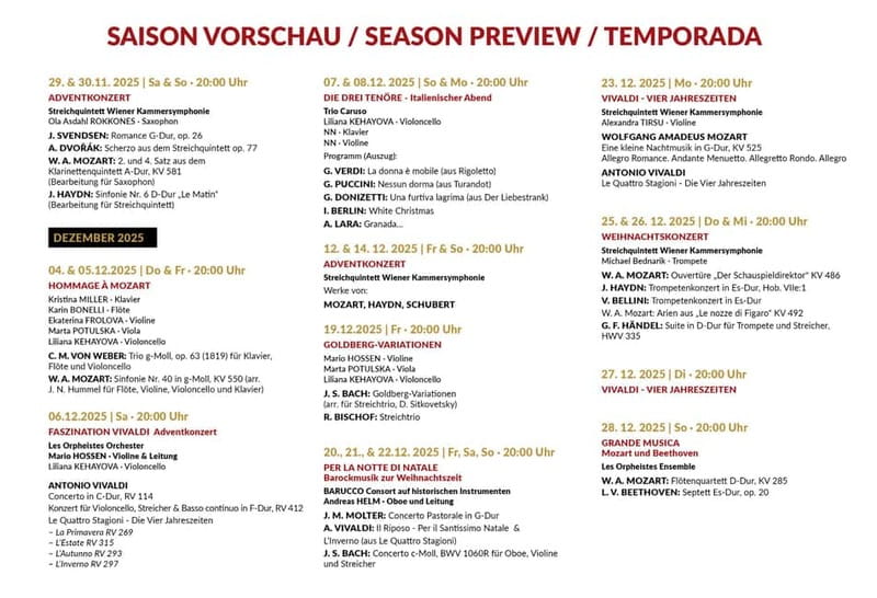 Vienna: Classical Concerts in the Minorite Church Ticket - How much value do you get for $22?