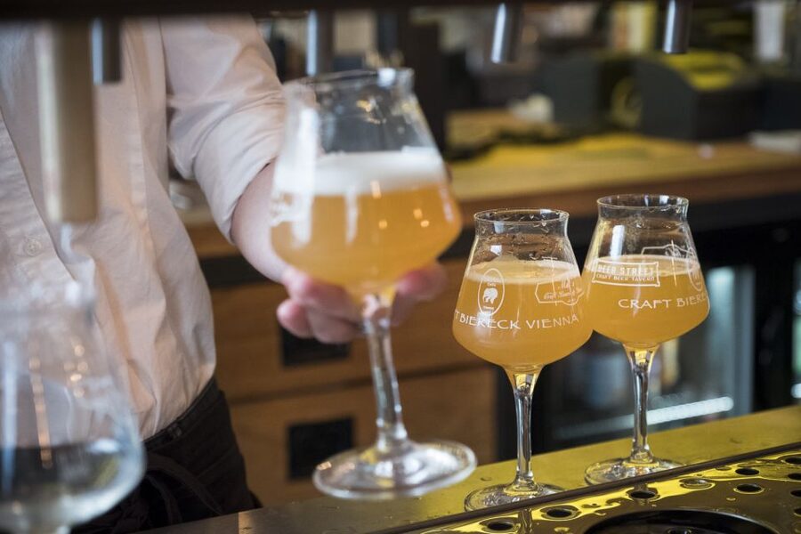 Vienna: Craft Beer Tasting Experience with Local Snacks - A beer lesson in Vienna’s 1st District