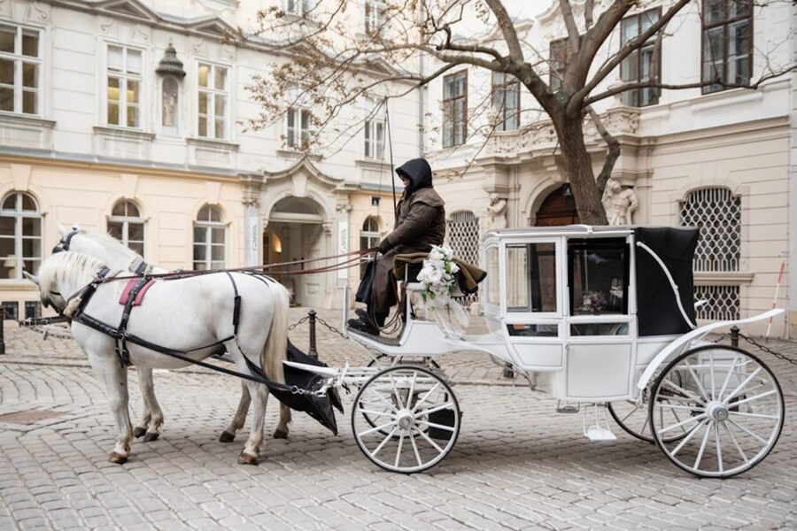 Vienna: Culinary Horse-Drawn Carriage Experience - Who will enjoy this most?