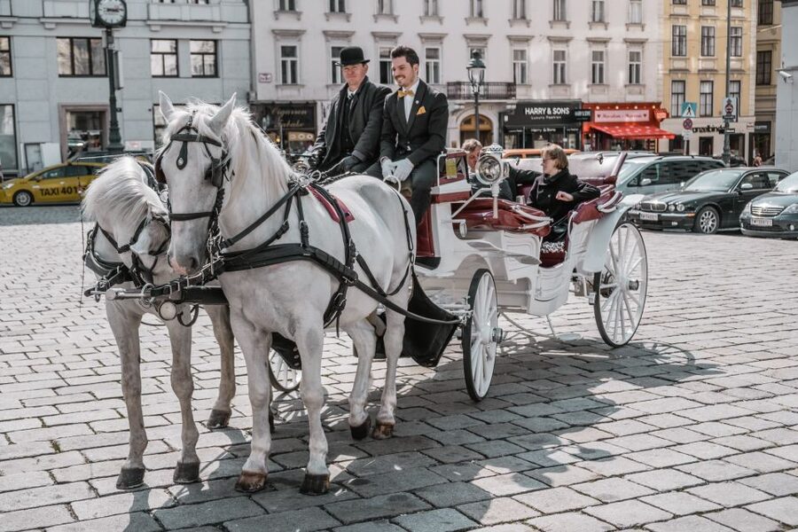 Vienna: Culinary Horse-Drawn Carriage Experience - Food, sparkling wine, and the small dining table