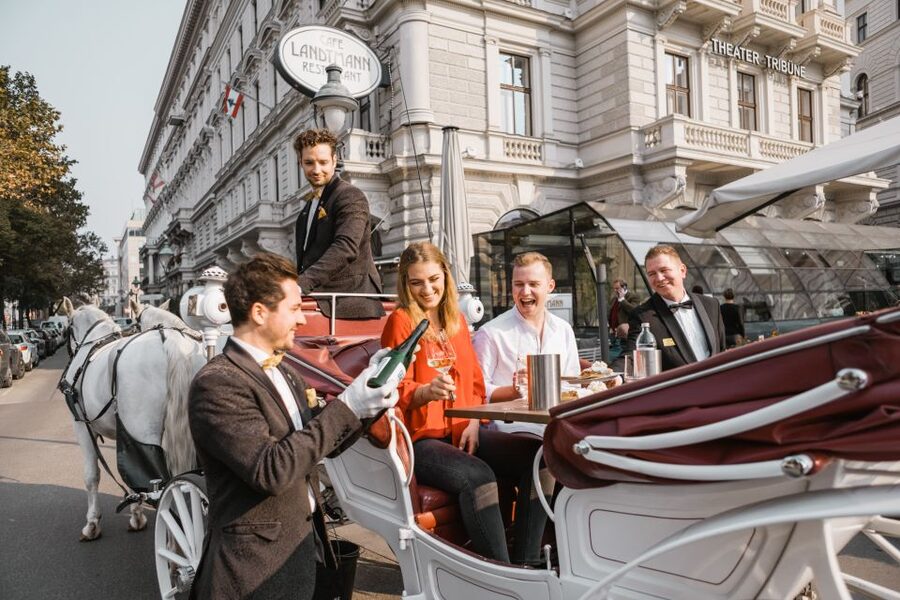 Vienna: Culinary Horse-Drawn Carriage Experience - The driver, butler, and quality of commentary