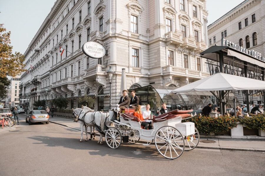 Vienna: Culinary Horse-Drawn Carriage Experience - Horses, carriage comfort, and the weather question