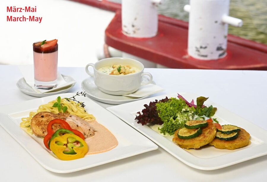 Vienna: Danube River Cruise w/ optional Viennese Specialties - Modern Vienna from the Danube plateau