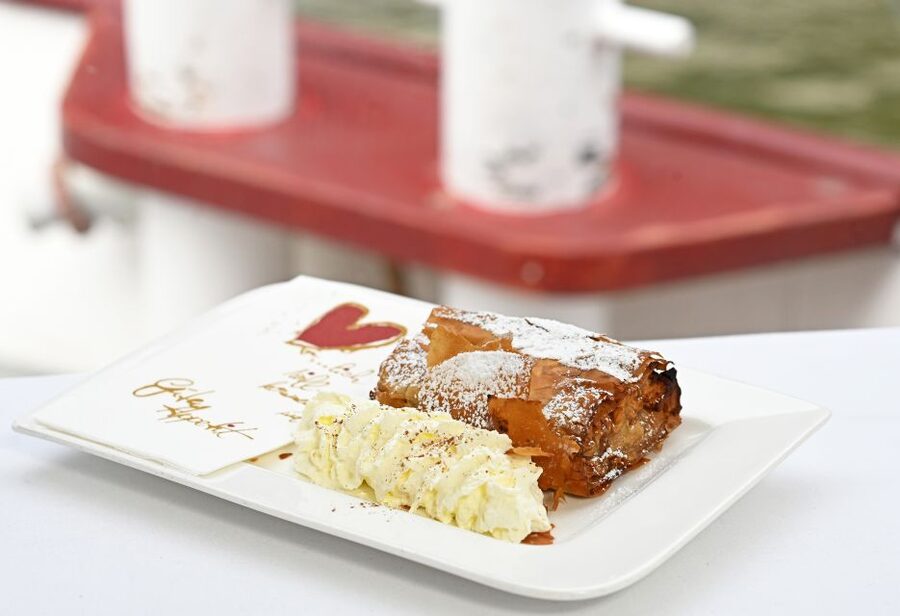 Vienna: Danube River Cruise w/ optional Viennese Specialties - Starting at the DDSG Blue Danube ticket office