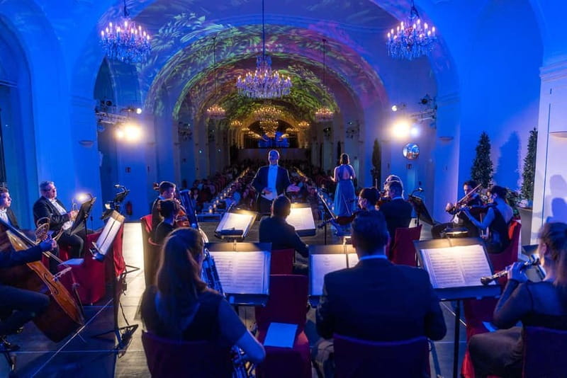 Vienna: Dinner & Concert at Schönbrunn Palace - Practical Timing Advice for a Smooth Night