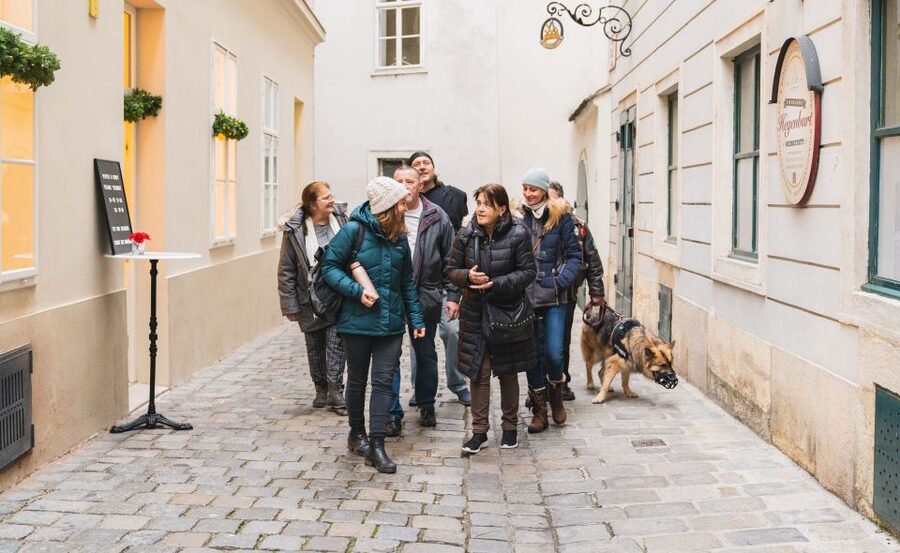 Vienna: Educational Walk Exploring Homelessness - Is $29 a fair price?