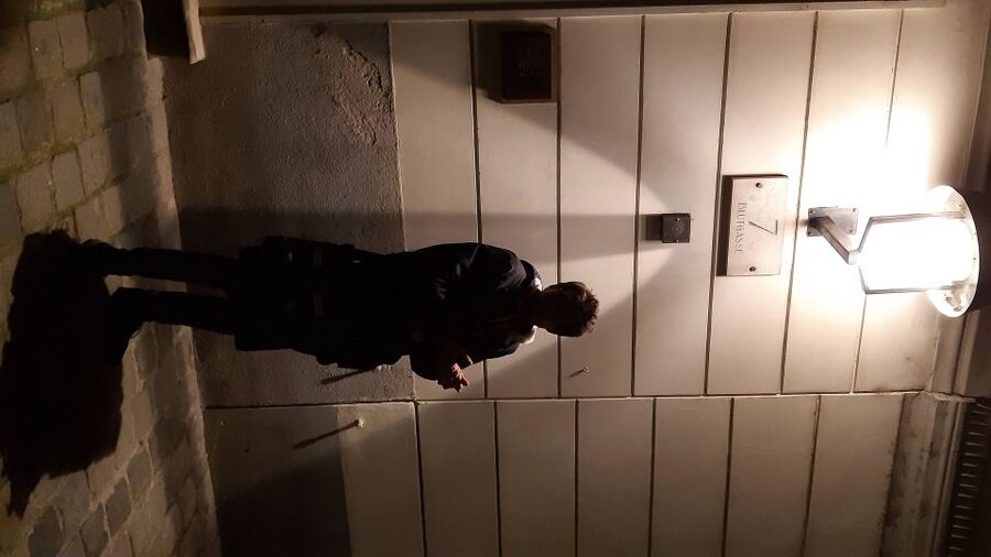 Vienna: German Guided Ghost Tour of Spooky Vienna - Who will enjoy this dark Vienna walk?