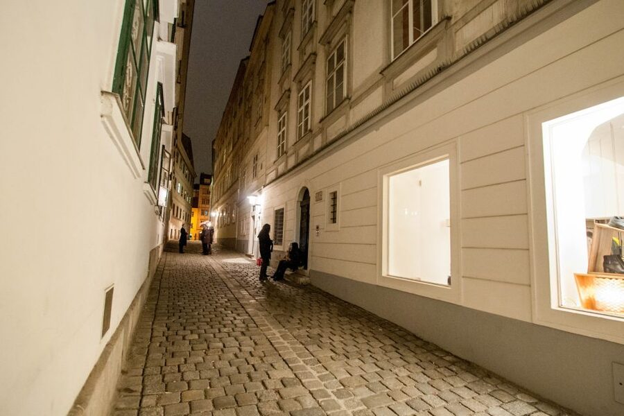 Vienna: Ghosts and Legends Guided Nighttime Walking Tour - Who should book this nighttime walk
