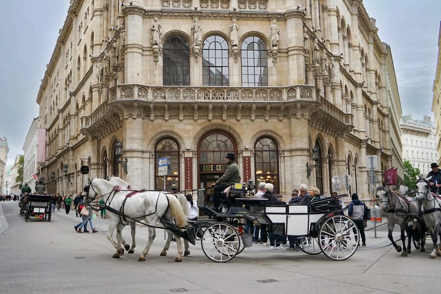 Vienna: Guided Walking Tour of City Highlights & Hidden Gems - Michaelerplatz and the Hofburg entrance