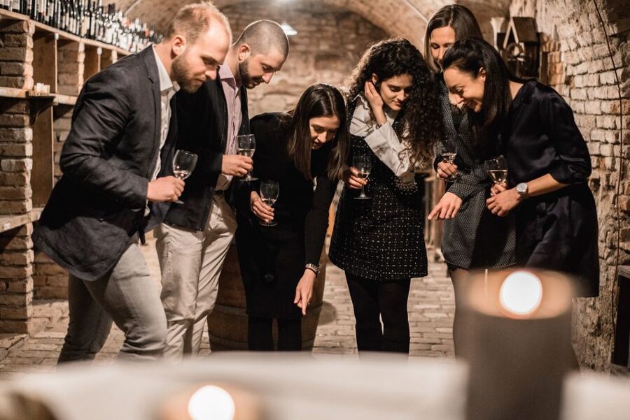 Vienna: Hidden Wine Cellars Tasting Experience - Who should book this experience?