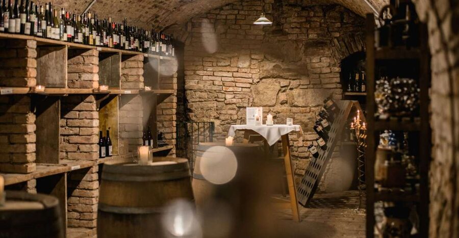 Vienna: Hidden Wine Cellars Tasting Experience - Why Vienna wine is worth your afternoon