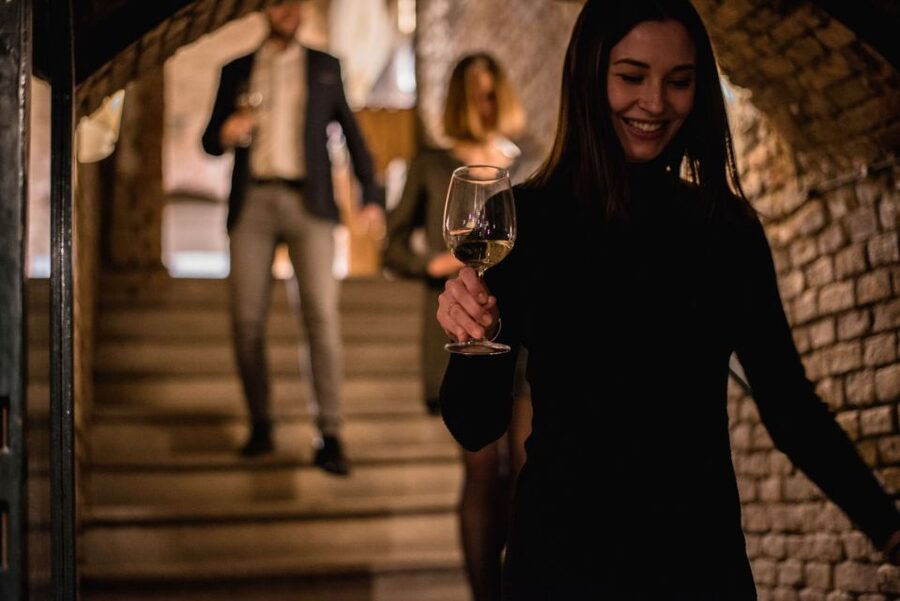 Vienna: Hidden Wine Cellars Tasting Experience - The first cellar: an unexpected entrance below the city