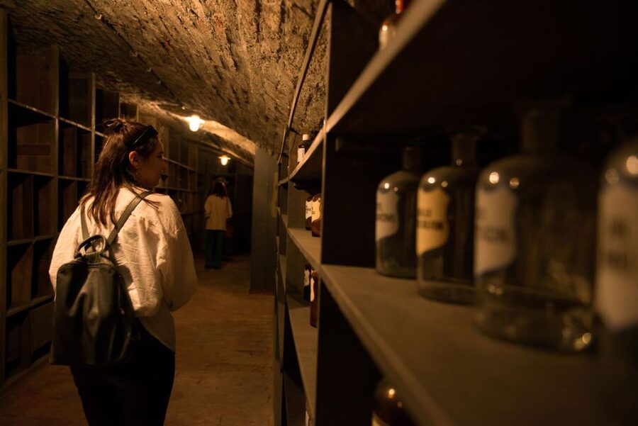 Vienna: Historical Pharmacy Cellar Guided Tour - A different side of Vienna below Taubstummengasse
