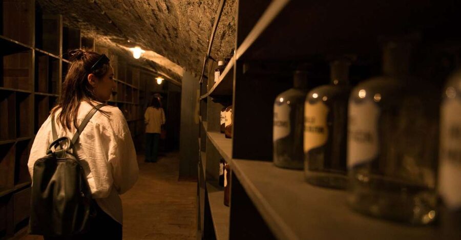 Vienna: Historical Pharmacy Cellar Guided Tour - The route underground, step by step