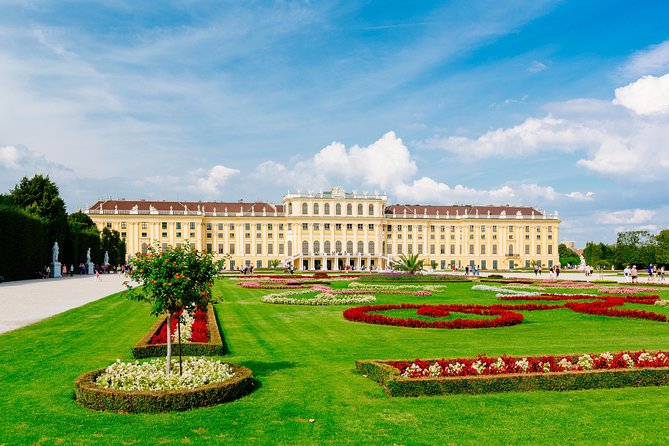 Vienna Hop On Hop Off City Tour - Waiting times, buses, and comfort